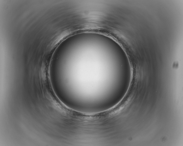 X0000092261401200709141159