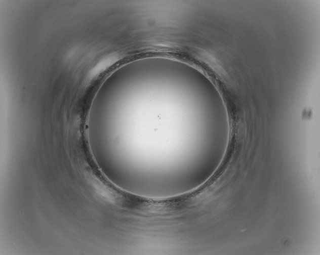 X0000092261402200709141159