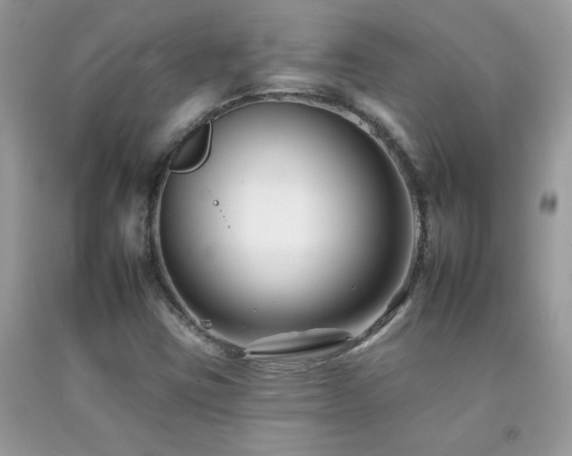 X0000092261403200709141159