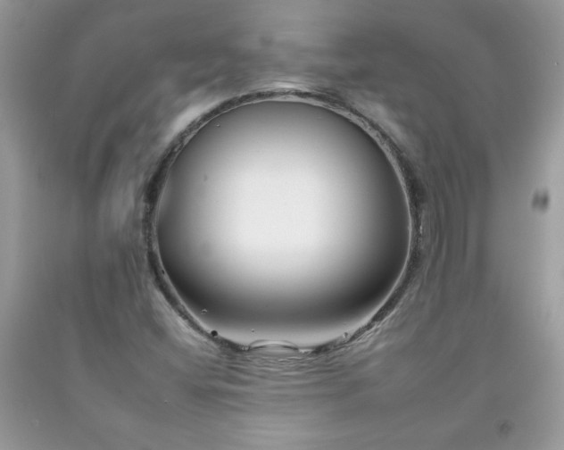 X0000092261404200709141159