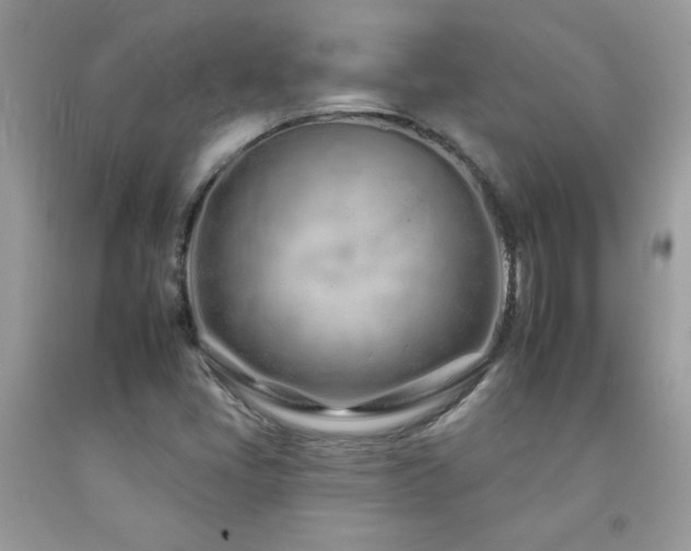 X0000092261405200709141159