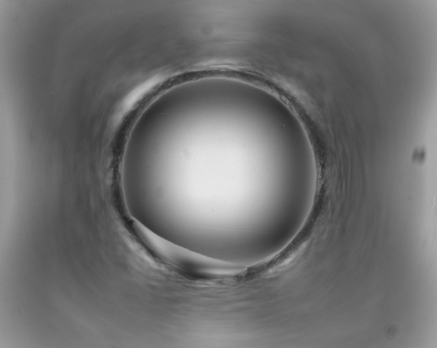 X0000092261406200709141159