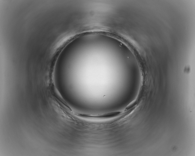 X0000092261407200709141159