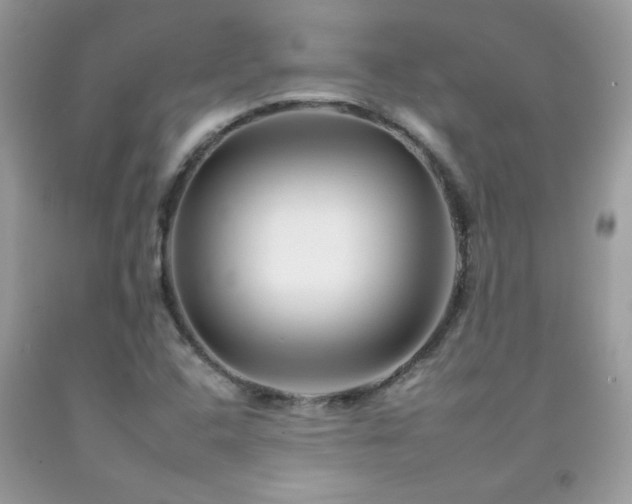 X0000092261408200709141159