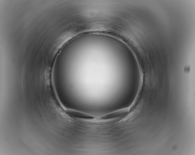 X0000092261409200709141159