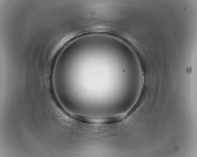 X0000092261410200709141159