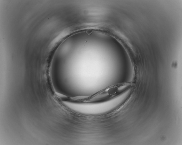 X0000092261411200709141159