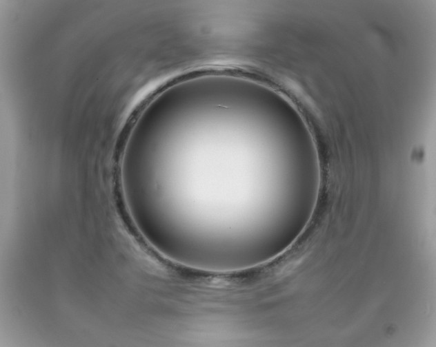 X0000092261412200709141159