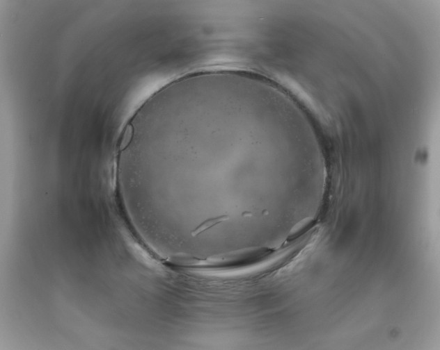 X0000092261413200709141159