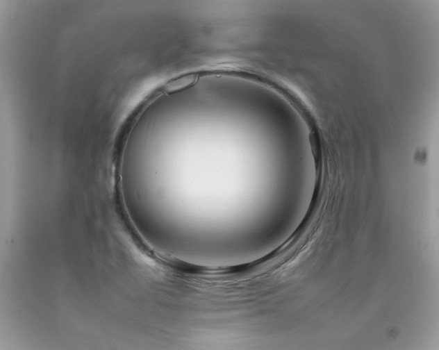 X0000092261414200709141159