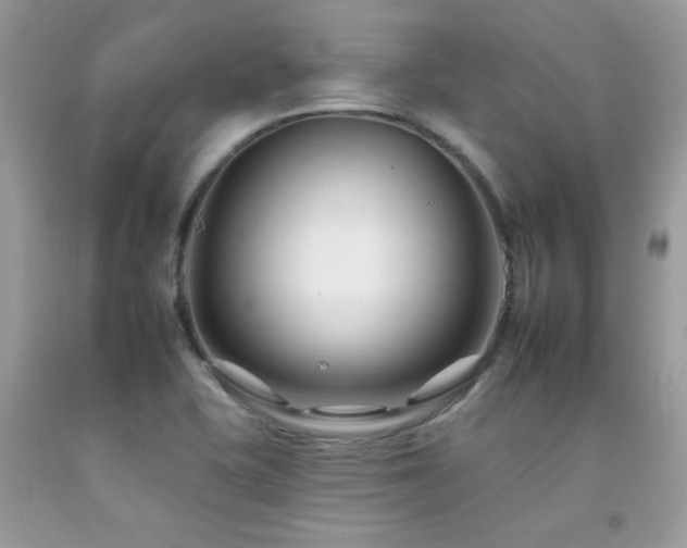 X0000092261415200709141159