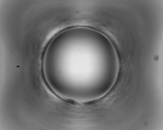 X0000092261416200709141159