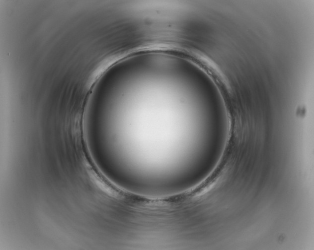 X0000092261417200709141159
