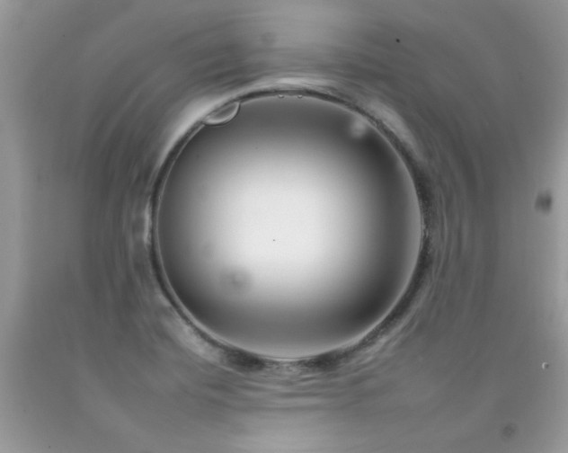 X0000092261420200709141159