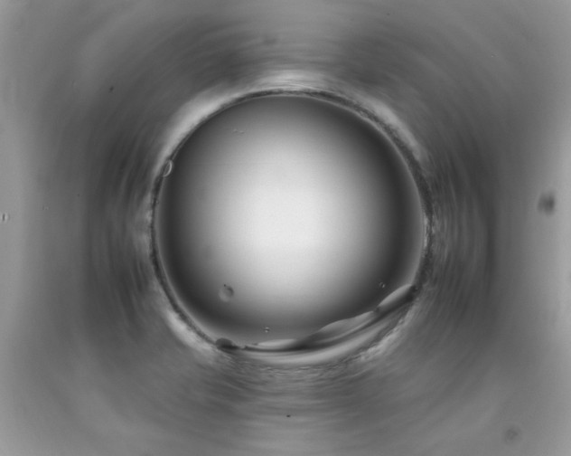 X0000092261421200709141159