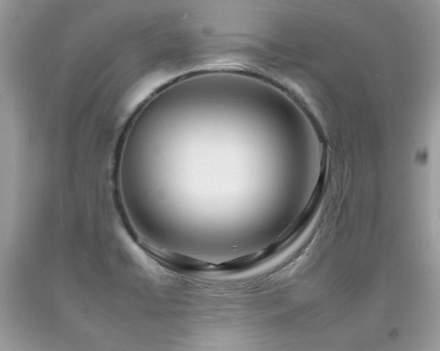 X0000092261422200709141159