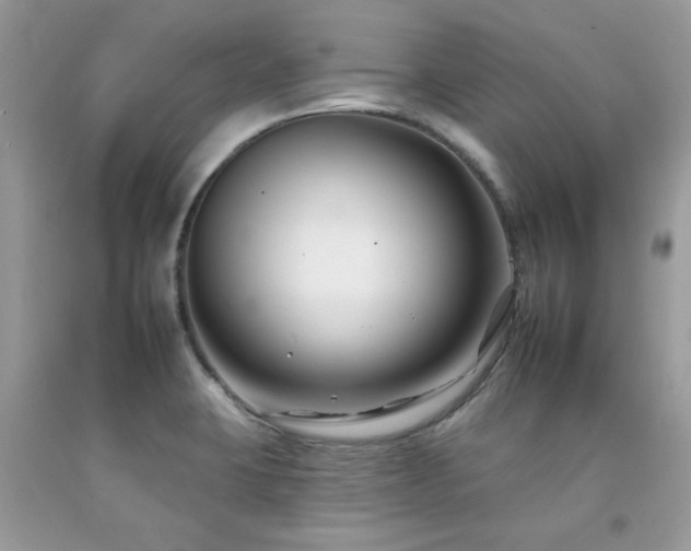 X0000092261423200709141159
