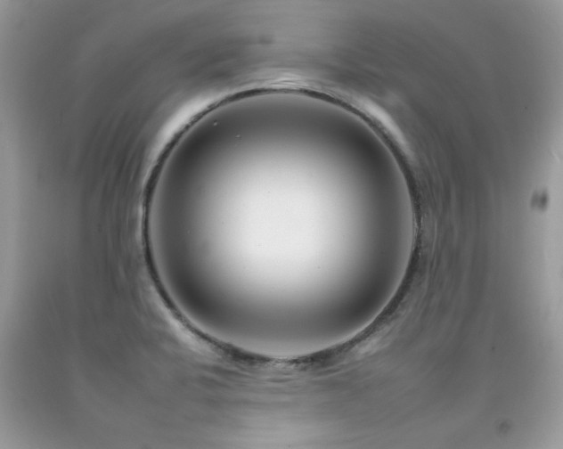 X0000092261424200709141159