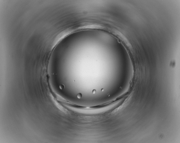 X0000092261425200709141159