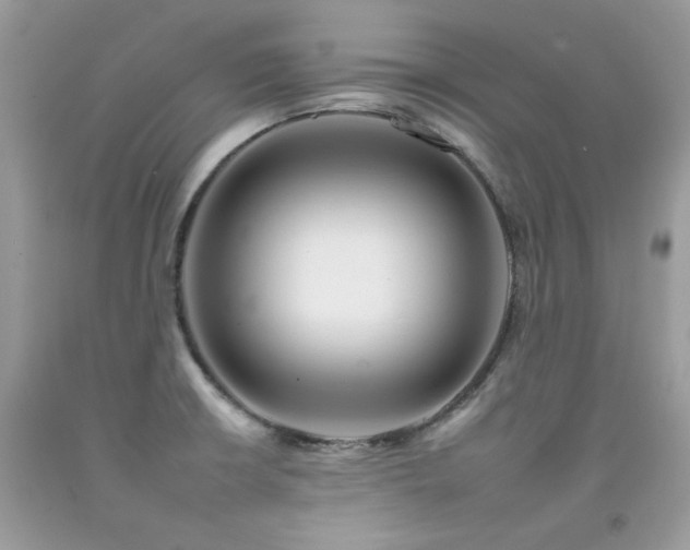 X0000092261426200709141159