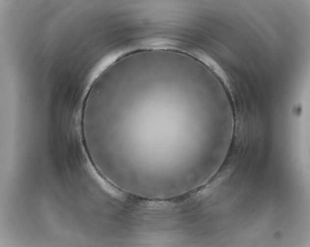 X0000092261429200709141159