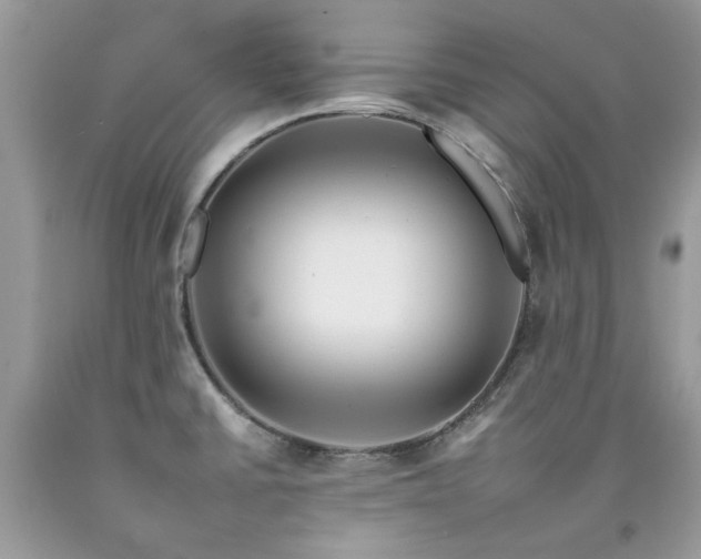 X0000092261430200709141159