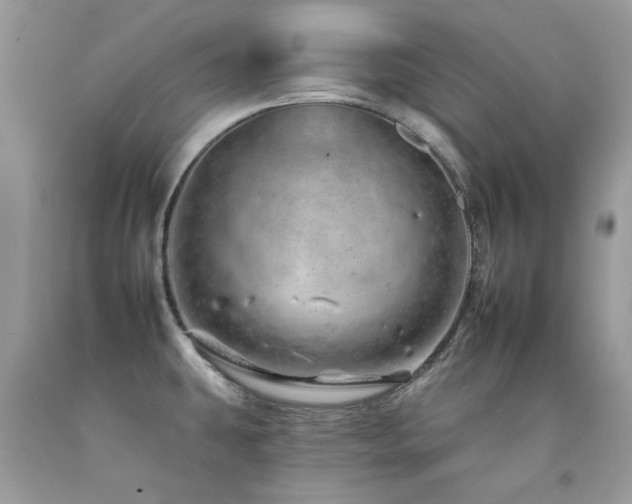 X0000092261431200709141200