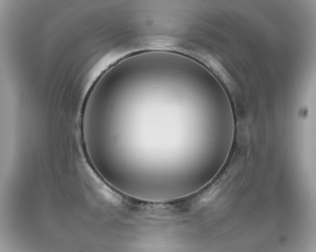 X0000092261432200709141200