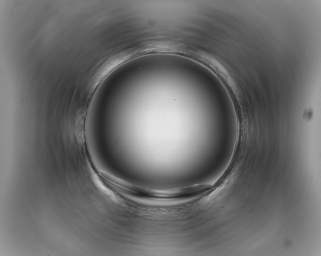 X0000092261433200709141200