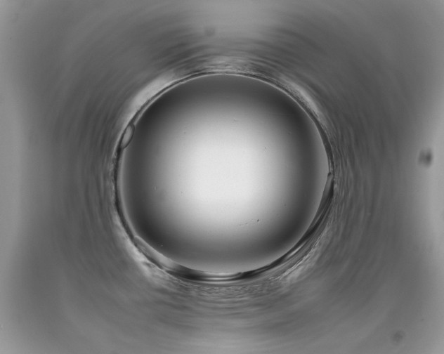 X0000092261434200709141200