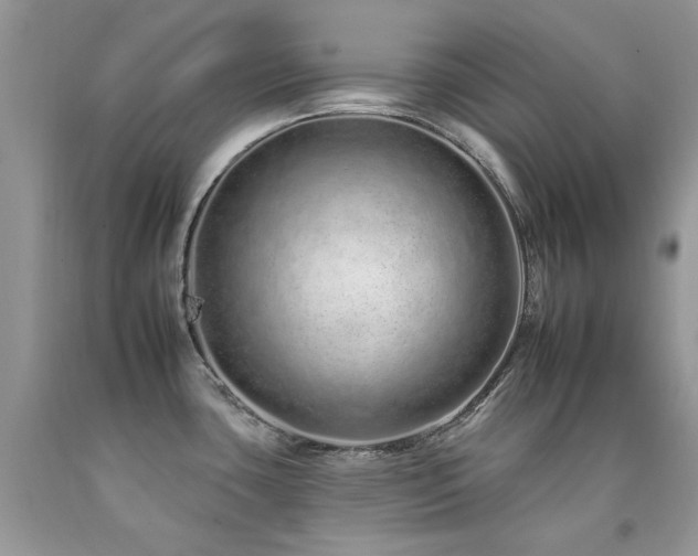 X0000092261435200709141200