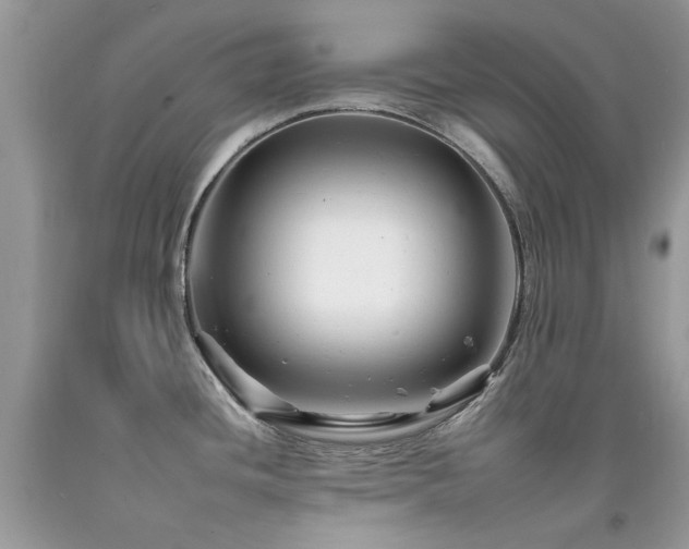 X0000092261436200709141200