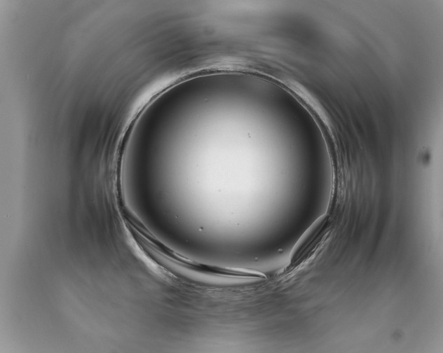 X0000092261437200709141200