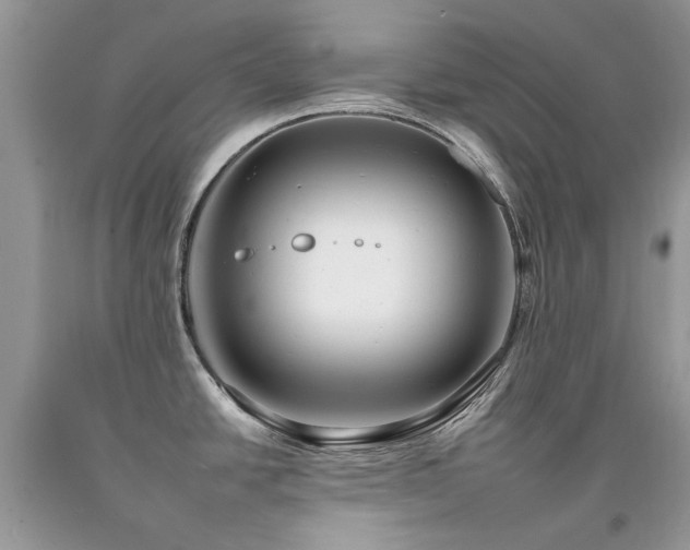 X0000092261438200709141200