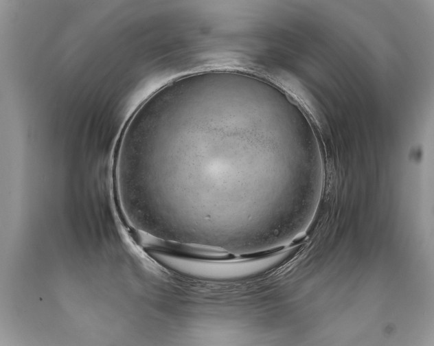 X0000092261439200709141200