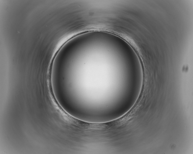 X0000092261440200709141200