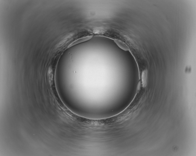 X0000092261443200709141159