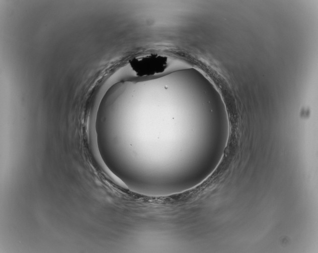 X0000092261445200709141159