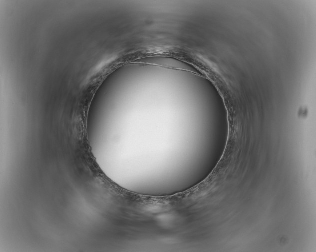 X0000092261446200709141159