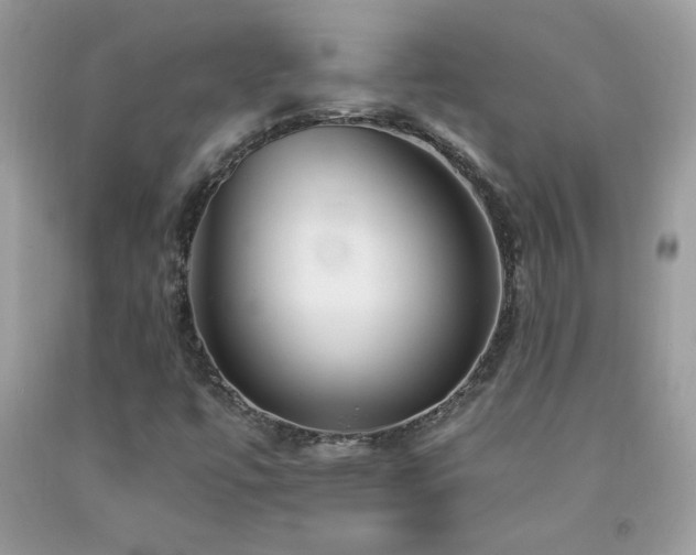 X0000092261447200709141159