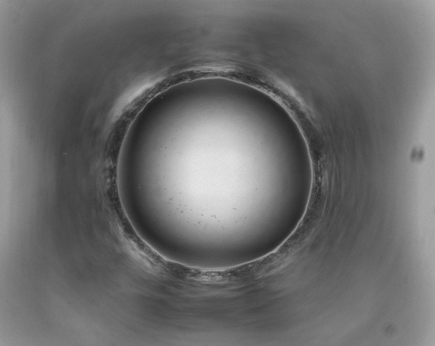X0000092261448200709141159