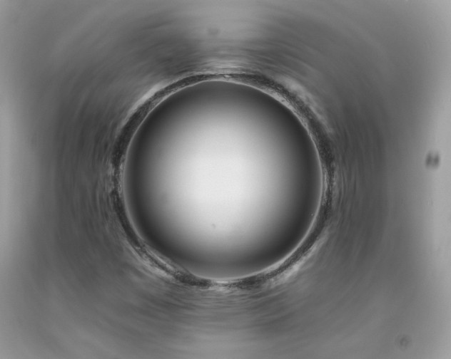 X0000092261449200709141159
