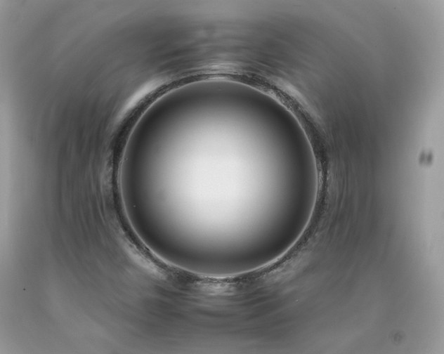 X0000092261450200709141159