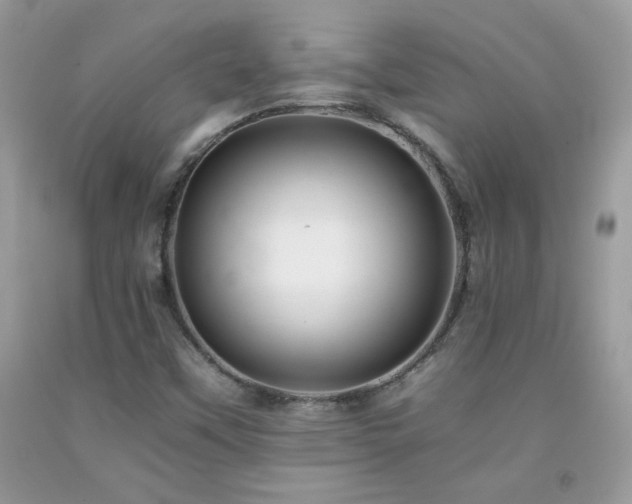 X0000092261451200709141159