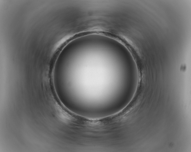 X0000092261452200709141159