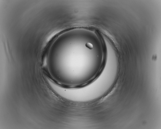 X0000092261453200709141159