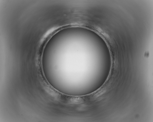 X0000092261454200709141159