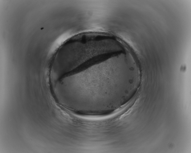 X0000092261455200709141159