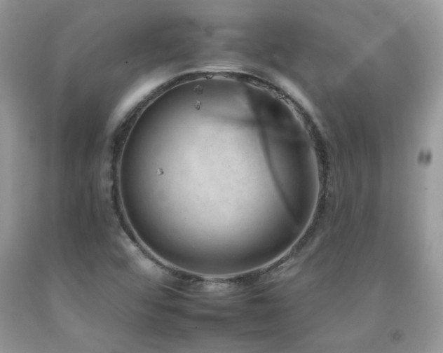 X0000092261456200709141159