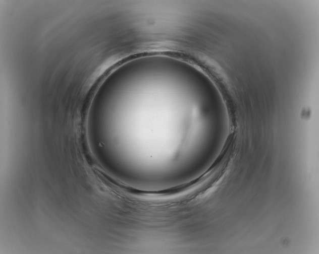 X0000092261457200709141159